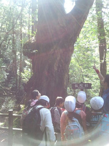 Img_20130508_145542_3