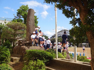 Himawari0001